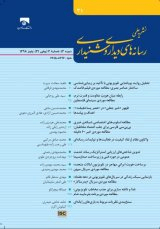 نقش وب لاگ های فارسی زبانان در بالا بردن آگاهی زنان از دید روزنامه نگاران زن
