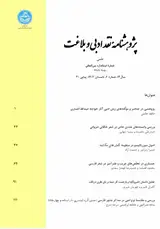 نقد و بررسی اطناب و انواع آن در متون بلاغی فارسی