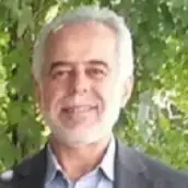 محمد علی فیروزی