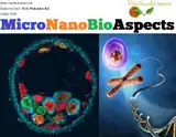 Interaction of copper oxide nanoparticles with bacterial nucleic acids: a mini-review