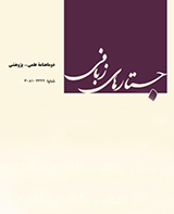 La traduction dans le roman: le cas de Mille Soleils splendides de Khaled Hosseini