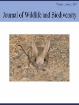 Gastropods Diversity in Mangrove Forests of Govater Gulf in Sistan & Baluchestan