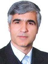 محسن حامدی