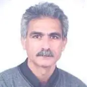 پرویز ایران نژاد