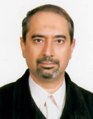 ناصر خاجی