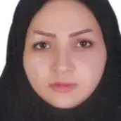 پریسا حسینی