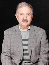سید حسین امیرشاهی