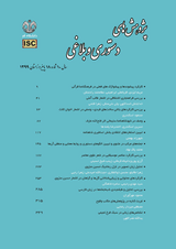 نگاهی جدید به نوعی از صفت خاص و عام در زبان فارسی