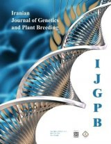 Molecular study of mollusca in Bandar Lengeh using <i>18S rRNA</i> gene