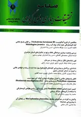 شناسایی قارچ های بیماری زای ریشه و طوقه ی گوجه فرنگی در شهرستان مرودشت، استان فارس، ایران