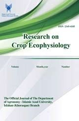 Water Use Efficiency of Common Sorghum and Grain Corn Cultivars and Comparing the Effect of Water Deficit on These Cultivars