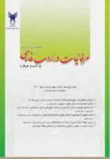 بازتاب هرمنوتیکی قرآن در مصباح الهدایه کاشانی