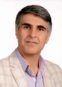 حمید آقا علی نژاد