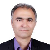 شاهرخ مکوند حسینی