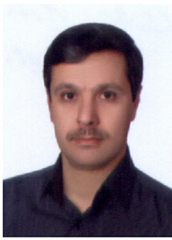 محمدحسین محمدی