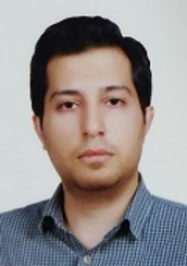 هادی حسینی