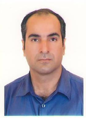 حسین حسن پور